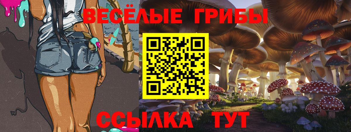 Галлюциногенные грибы Magic Shrooms Симферополь