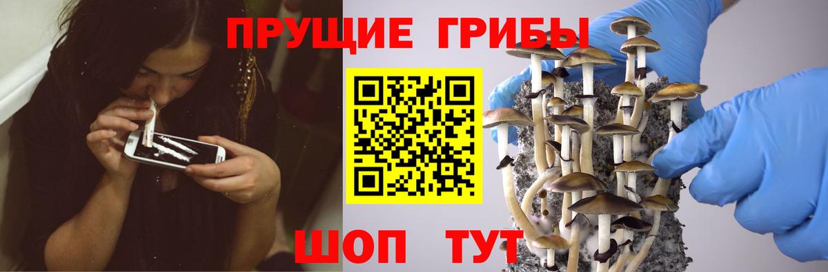 Галлюциногенные грибы ЛСД  Вход с VPN  Симферополь 